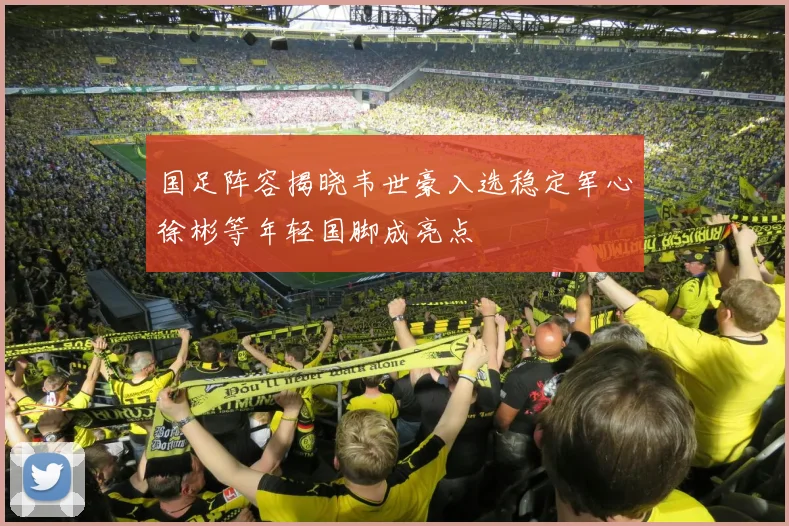 国足阵容揭晓韦世豪入选稳定军心徐彬等年轻国脚成亮点