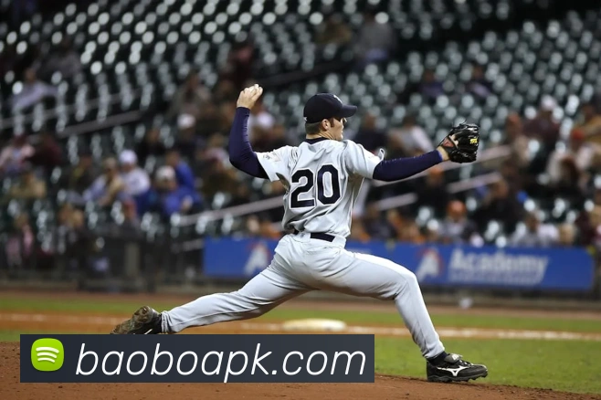 宝博体育平台生态图